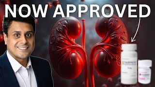 NEW TREATMENT for KIDNEY DISEASE  Hope for IgA Nephropathy nowapproved [upl. by Aicilegna]