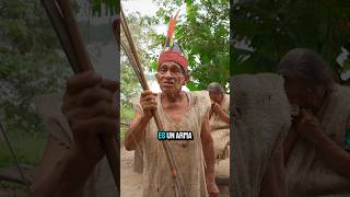 Así cazan monos arañas 😱 animales amazonas indigenas [upl. by Donatelli]