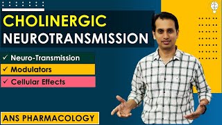 Cholinergic Neurotransmission  Cholinergic Mechanism of Action  Parasympathomimetic Pharmacology [upl. by Suoiradal]