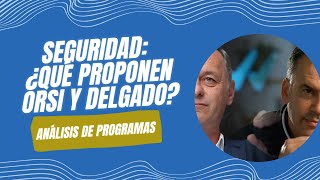 Seguridad ¿Qué proponen Orsi y Delgado [upl. by Rimidalv]