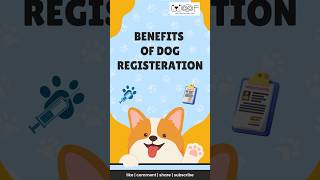 Benefits of dog Registration in india  woof petparent [upl. by Nefen]