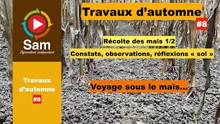 Travaux dautomne 8 Le sol est notre avenirPar les constats la compréhension tout est possible [upl. by Schick]