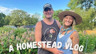 A Homestead Vlog  Day In The Life [upl. by Teyugn29]