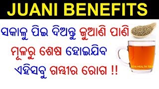 ଜୁଆଣି ର ୧୦ ଟି ଔଷଧୀୟ ଗୁଣ  Juani ra upakarita  Juani benefits  Ajwain Odia  ODIA HEALTH TIPS [upl. by Anwat]