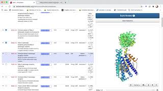 Homology modelling using SWISSMODEL web server [upl. by Cherri]