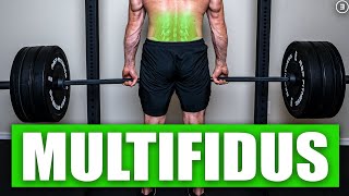 BEST Multifidus Exercises  Not What You Think Science Based [upl. by Catha]