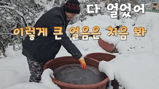 이렇게 큰 얼음 처음 본 베트남 장인어른 [upl. by Yadroc]