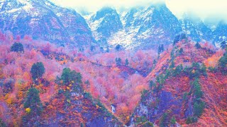 JG☆☆ 4K HDR 福島 田子倉湖と浅草岳の雪と紅葉 FukushimaTagokurako in Autumn [upl. by Annoyek672]