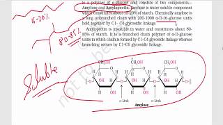 Biomolecules Part 3  Disaccharides amp Polysaccharides  Sucrose Maltose Lactose Starch [upl. by Behnken164]