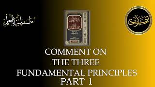 COMMENT ON THE THREE PRINCIPLES PART 1 [upl. by Lexerd]