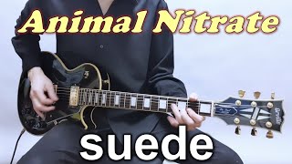 Suede  Animal Nitrate Guitar amp Vocal Cover by Taehan Lee [upl. by Borchert]