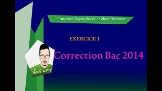 EXERCICE 1  Correction Bac 2014  Reproduction chez lhomme  Bac Tunisie [upl. by Boniface]