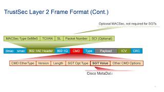 20 Introducing Cisco TrustSec [upl. by Ymrots48]