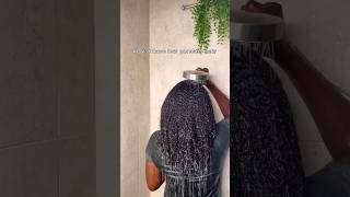 How to test your hair porosity Low Mid and High Levels of porosity curlynatural porosity test [upl. by Ltihcox688]