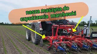 120hektarów marchewki ekologicznejjak wygląda pielenie maszynowe oraz ręczne [upl. by Xenia]