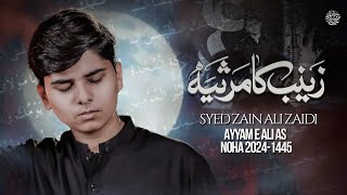 Zainab Ka Marsiya  Syed Zain Ali Zaidi  Mola Ali Noha  21 Ramzan Noha 2024 [upl. by Naloj147]