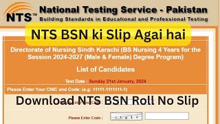 NTS BSN Roll No Slip I How to download BSN Roll no Slip 2024 I Directorate of Nursing Sindh Karachi [upl. by Nirhtak]