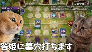 一度は経験したことがある遊戯王あるある【遊戯王マスターデュエル】【猫ミーム】 [upl. by Adnilav207]