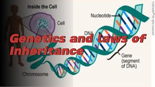 Concept of Genetics [upl. by Imuyam]