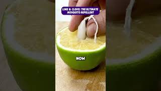 DIY Lime amp Clove Mosquito Repellent Hack naturalrepellent diyhometips mosquitofree [upl. by Enellij]