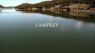 Blood Lake Attack of the Killer Lampreys 2014 Hindi Dubbed 360p [upl. by Anaizit]