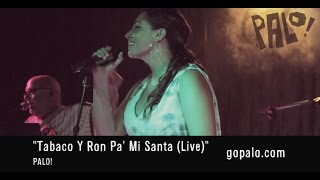 PALO quotTabaco Y Ron Pa Mi Santa Livequot • Musica Cubana Salsa Jazz Funk [upl. by Sampson]