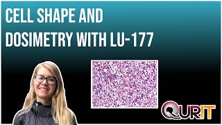 The impact of cell shape on the doses delivered to the nucleus from 177Lu labelled radiotracers [upl. by Brendan429]