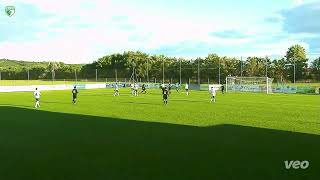 SCSR Tore SV Ziersdorf vs SCSR 54 [upl. by Nerual767]