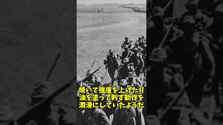 【本当にあった】追い詰められた日本軍の竹槍ロケット… 歴史 ww2 shorts [upl. by Arrat]