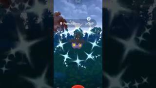 ✨Shiny Pumpkaboo CAUGHT in Pokemon Go✨ shorts pokemon [upl. by Diarmuid426]