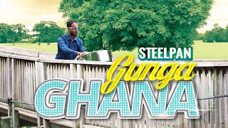 Gunga Ghana Steelpan Cover by Devin Ramoutar [upl. by Annaxor]