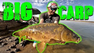 PESCA de GRANDES CARPAS a FEEDER CASTING [upl. by Aerdnaid]