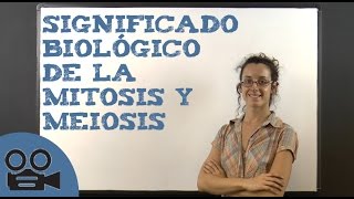 Significado biológico de la mitosis y meiosis [upl. by Barthel183]