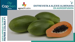 Entrevista a Alexis Almenara sobre la papaya Colima en Agrodifusion de Agroradio  29022024 [upl. by Kristen213]