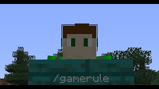 Come usare il comando gamerule su Minecraft [upl. by Bonner]