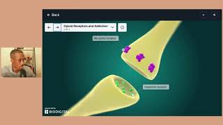 Addiction Pathway  Opioid Addiction  NeuropsychologyNeuropsychiatry Part 7 [upl. by Dryfoos]