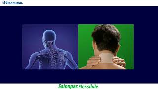 Dolori muscolari o articolari Salonpas Flessibile [upl. by Nobel]