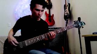 tool stinkfist bass cover harley benton b550 [upl. by Soble508]