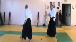 Korindo Aikido Israel 2013 sensei Avi Hazan amp sansei Boaz Grinvald [upl. by Bethel]