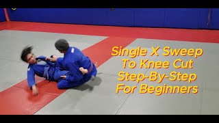 Single X Leg Sweep To Kneecut Pass stepbystep for Beginners [upl. by Hambley141]