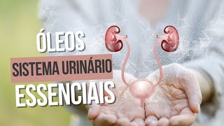 Óleos essenciais e SISTEMA URINÁRIO  RINS [upl. by Cazzie49]