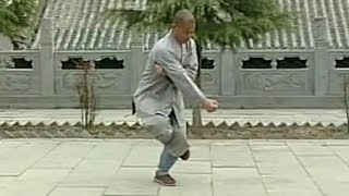 Shaolin Kung Fu Combat Styles 15 small Buddha form 小罗汉拳 xiao luohan quan [upl. by Ellerrad373]