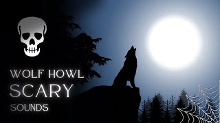 Wolf Howling at Moon Sound  WARNING SCARY  wolf howling [upl. by Neerac]