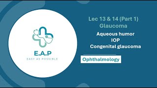 Lec 13 amp 14 Part 1  Glaucoma  Aqueous humor IOP Congenital glaucoma  Ophthalmology 41 [upl. by Pallua]