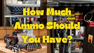 How Much Ammo is Enough For SHTF [upl. by Alegnave]