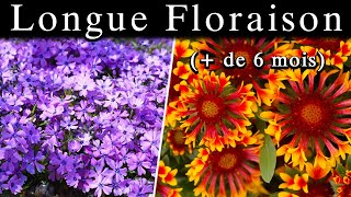 7 Plantes Vivaces Facile pour son Jardin Beaucoup de Fleurs [upl. by Adnauqaj]