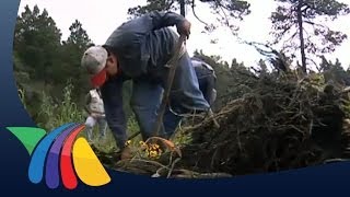 Preocupación por la recategorización del Nevado de Toluca [upl. by Farhi]