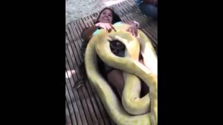 Snake Massage  Cebu Zoo [upl. by Margi404]