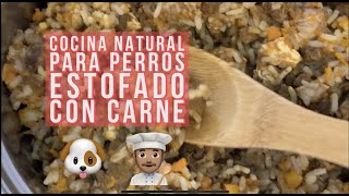 🐶 Comida natural para perros 🥕🍚 Perrhijos Estofado de carne con verduras y arroz🍗 [upl. by Ivel]