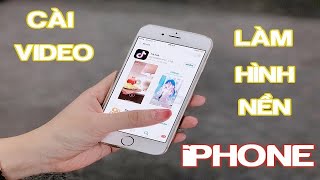 Hướng Dẫn Cài Video Làm Hình Nền Trên iPhone [upl. by Mapes299]